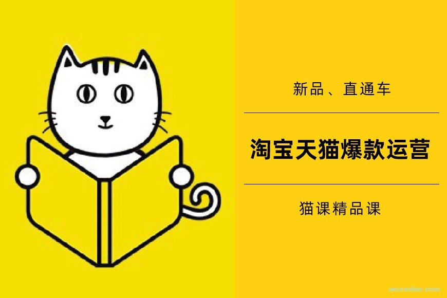 淘宝天猫新品爆款、直通车运营猫课