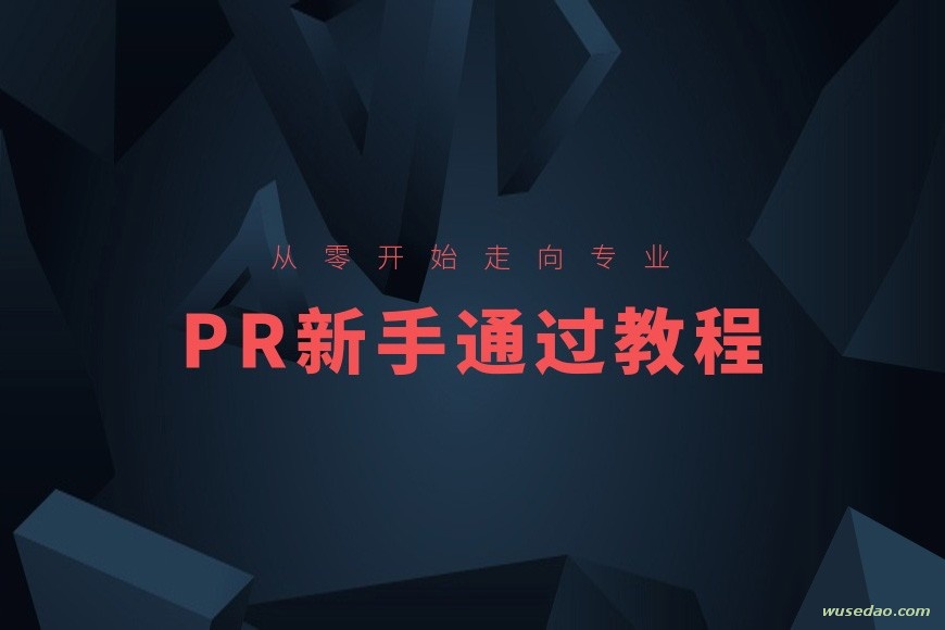 PR视频剪辑新手通关课程，从零开始走向专业