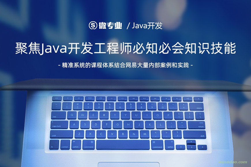 微专业Java开发：开发工程师必懂的知识技能