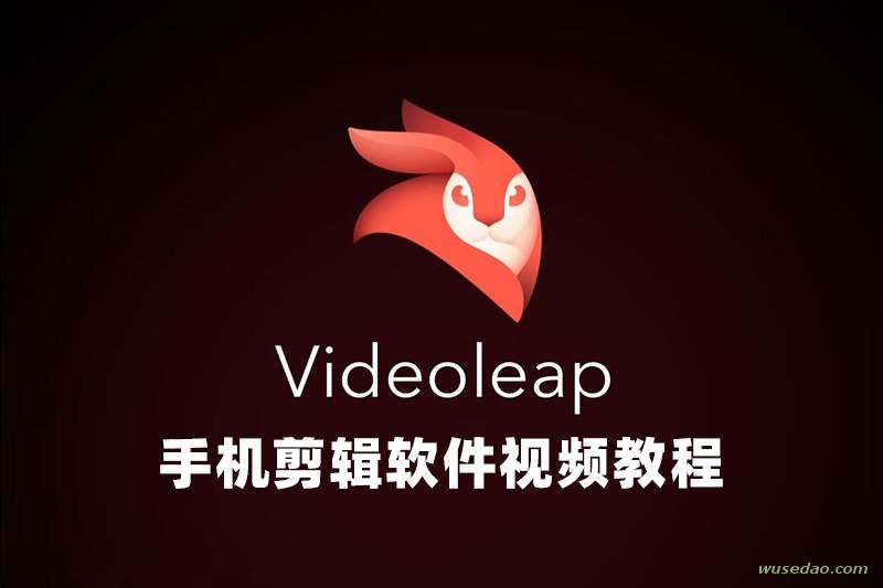 最新手机剪辑软件Videoleap最全视频教程