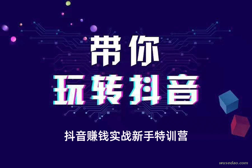 抖音赚钱实战新手特训营，核心技巧大全