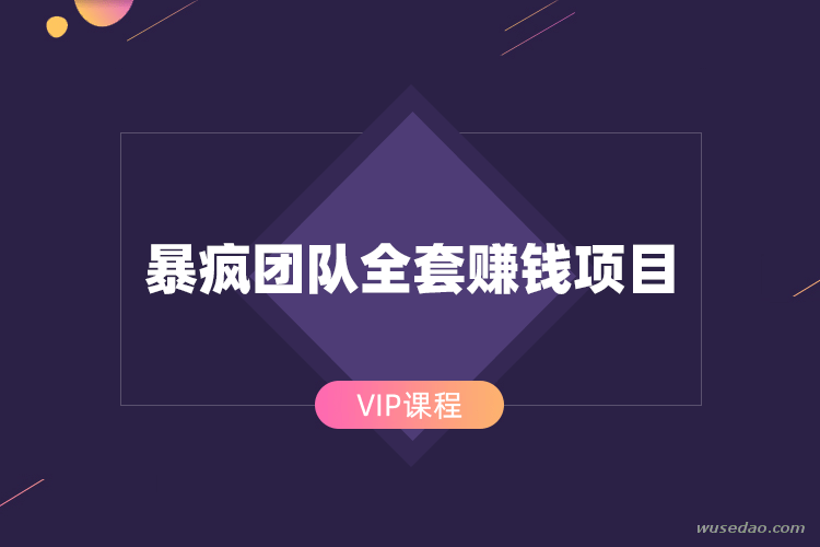 暴疯团队VIP全套赚钱项目课程